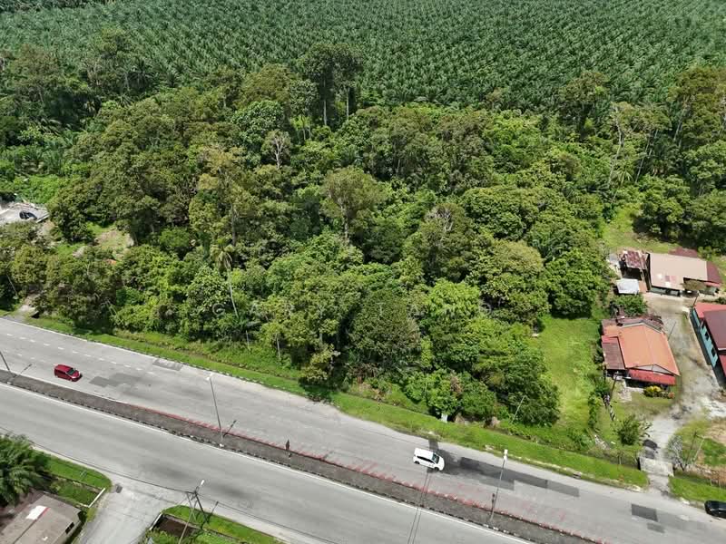 Agricultural Land for Sale in Kamunting (Perak) - Gary Tang - PropertyGuru.com.my