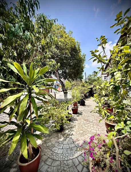 Rumah Teres 1 Tingkat untuk Dijual di Tanjung Tokong (Penang) - KK Kwok - PropertyGuru.com.my