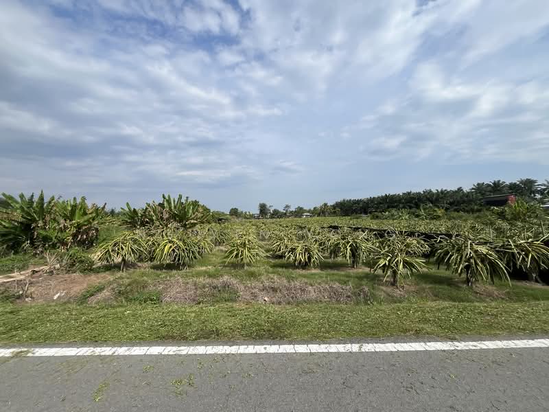 Agricultural Land for Rent in Sungai Pelek (Sepang) - Ng Yen Yong - Exterior - PropertyGuru.com.my