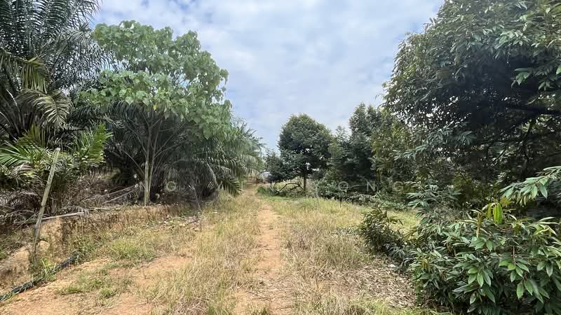 Agricultural Land for Rent in Sungai Pelek (Sepang) - Ng Yen Yong - Exterior - PropertyGuru.com.my