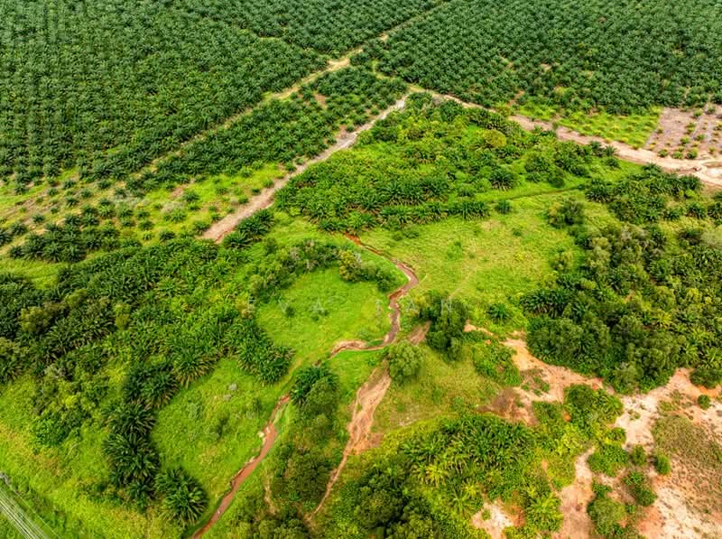 Industrial Land for Sale in Kawasan Perindustrian Tanjung Langsat (Pasir Gudang) - Eva Tan - Exterior - PropertyGuru.com.my