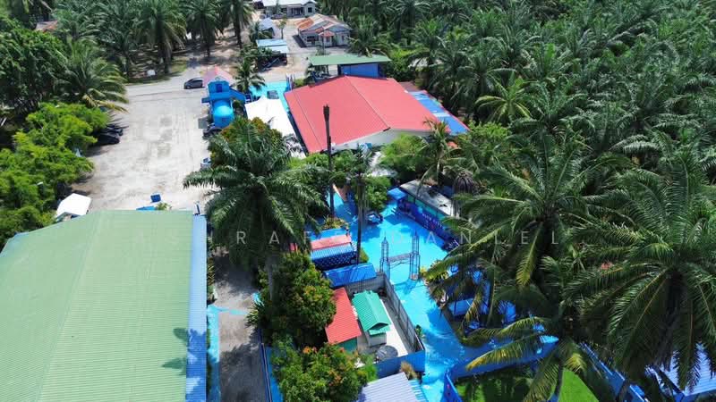 Agricultural Land for Sale in Kuala Selangor (Selangor) - Ashraff Daniel - PropertyGuru.com.my