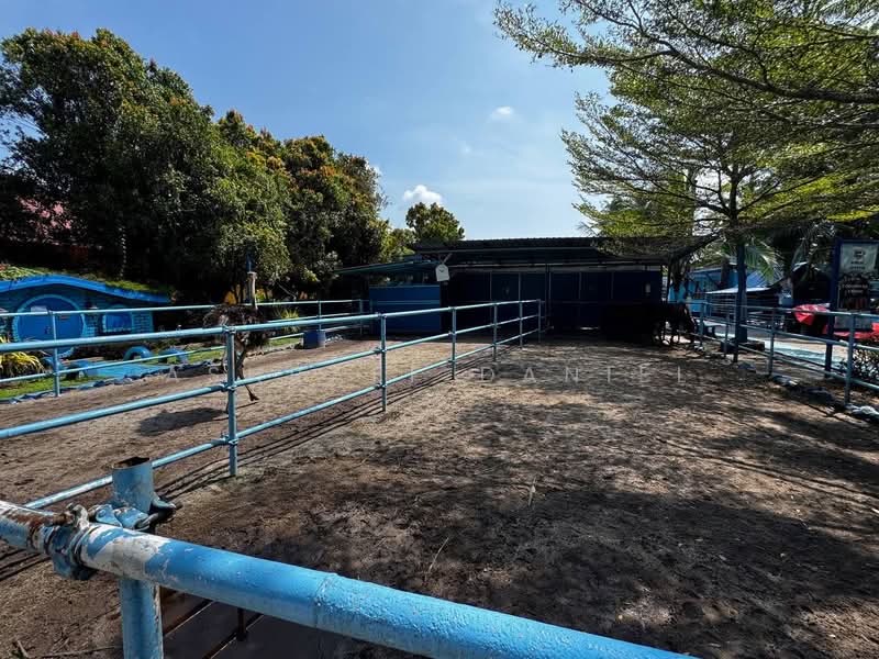 Agricultural Land for Sale in Kuala Selangor (Selangor) - Ashraff Daniel - PropertyGuru.com.my