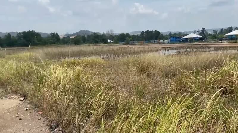 Industrial Land for Rent in Kuantan (Pahang) - Lucas Lim - Exterior - PropertyGuru.com.my