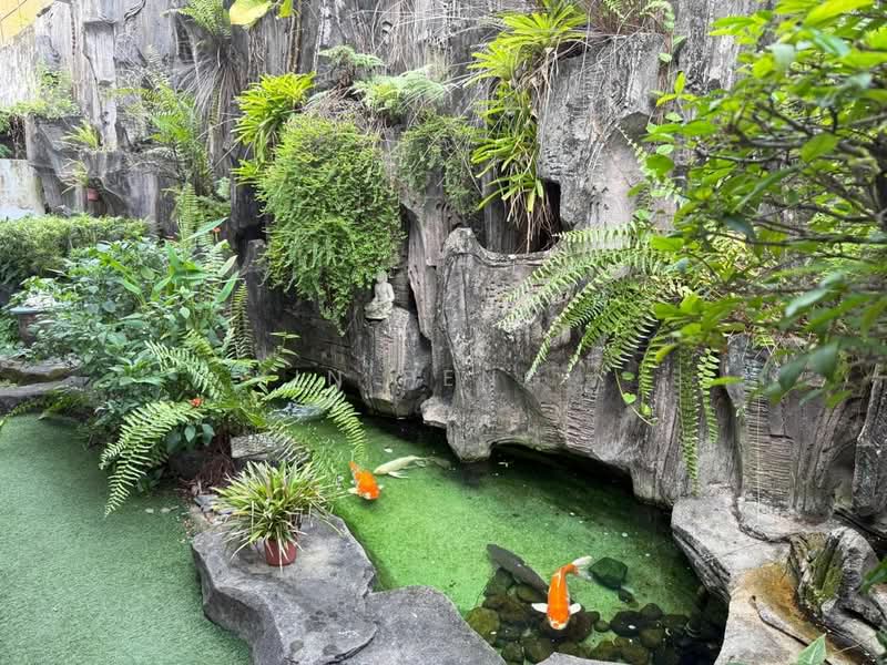 Semi-Detached House for Sale in Taman Tun Dr Ismail (Kuala Lumpur) - Yin Peng . - Garden - PropertyGuru.com.my