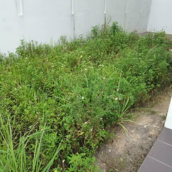 Semi-Detached House for Sale in Bandar Sungai Long (Selangor) - Dyron Yong - Garden - PropertyGuru.com.my