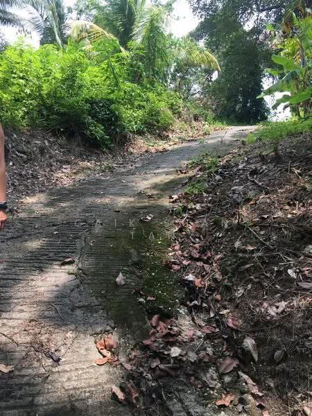 Tanah Pertanian untuk Dijual di Teluk Kumbar (Bayan Lepas) - Gaik Suan Tan - Exterior - PropertyGuru.com.my
