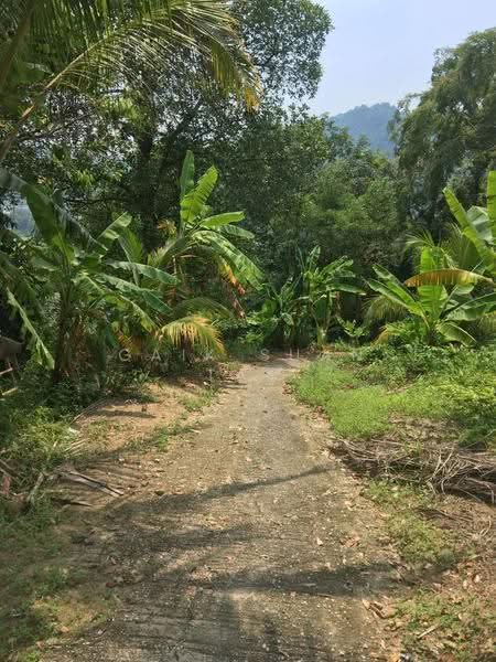 Tanah Pertanian untuk Dijual di Teluk Kumbar (Bayan Lepas) - Gaik Suan Tan - Exterior - PropertyGuru.com.my