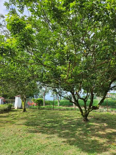Bungalow for Sale in Leisure Farm (Gelang Patah) - Adeline Chin - Exterior - PropertyGuru.com.my