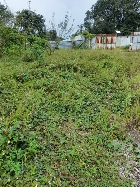 Agricultural Land for Sale in Lenggeng (Negeri Sembilan) - Jenny Choong - Exterior - PropertyGuru.com.my