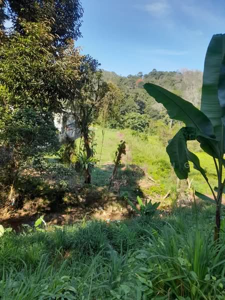 Agricultural Land for Sale in Lenggeng (Negeri Sembilan) - Jenny Choong - Exterior - PropertyGuru.com.my
