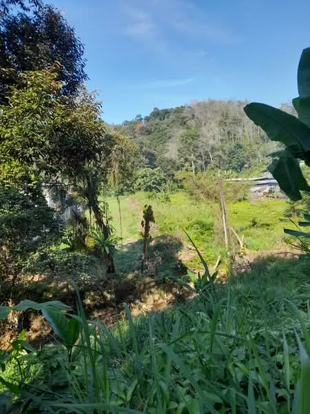 Agricultural Land for Sale in Lenggeng (Negeri Sembilan) - Jenny Choong - Exterior - PropertyGuru.com.my