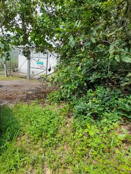 Agricultural Land for Sale in Lenggeng (Negeri Sembilan) - Jenny Choong - Exterior - PropertyGuru.com.my