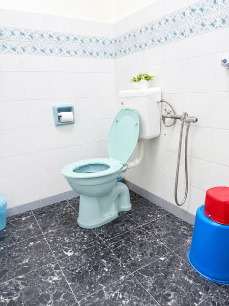 Semi-Detached House for Sale in Taman Petani Jaya (Sungai Petani) - Derrick Ng - Bathroom - PropertyGuru.com.my