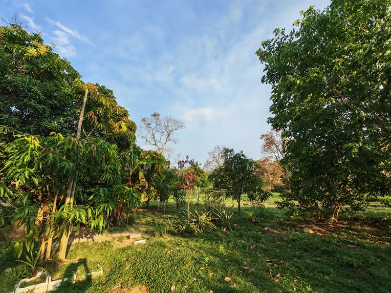 Agricultural Land for Sale in Pokok Sena (Kedah) - Amos Lim - PropertyGuru.com.my