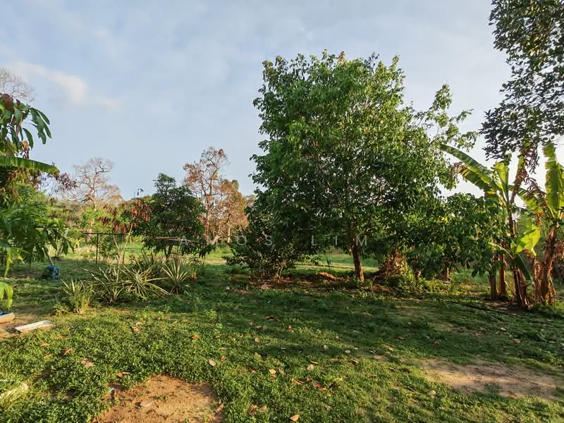 Agricultural Land for Sale in Pokok Sena (Kedah) - Amos Lim - PropertyGuru.com.my