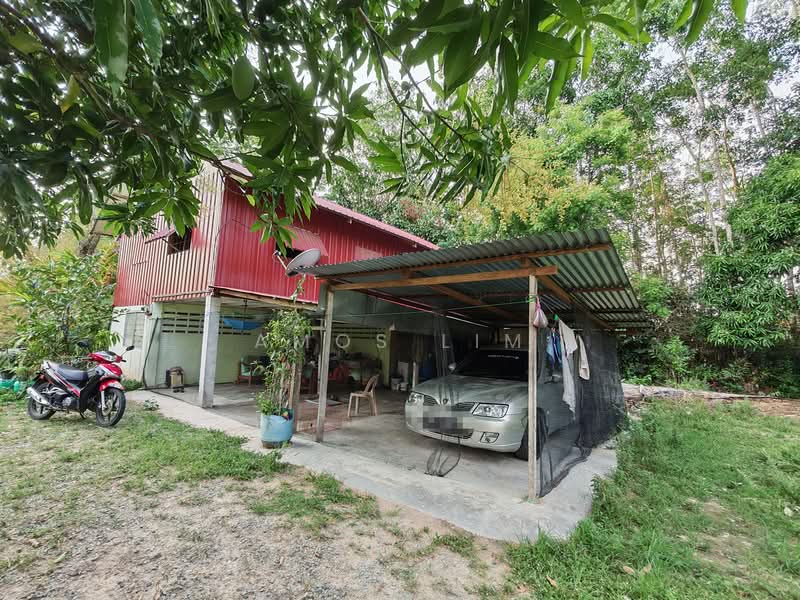Agricultural Land for Sale in Pokok Sena (Kedah) - Amos Lim - PropertyGuru.com.my