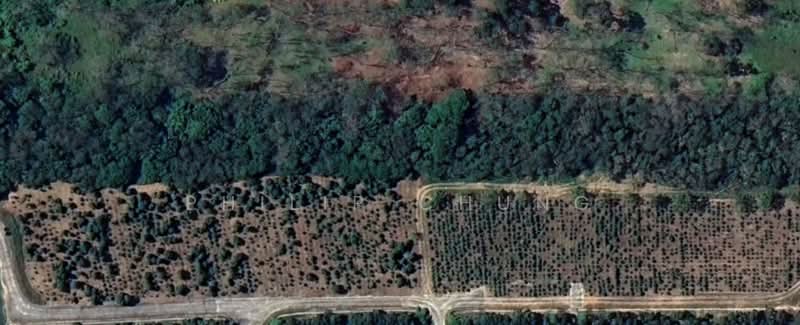 Agricultural Land for Sale in Broga (Lenggeng) - Philip Chung - View - PropertyGuru.com.my