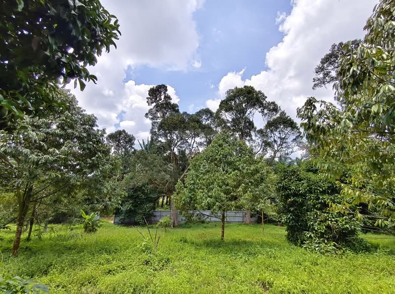 Tanah Pertanian untuk Dijual di Kulai (Johor) - K S Ong - Garden - PropertyGuru.com.my
