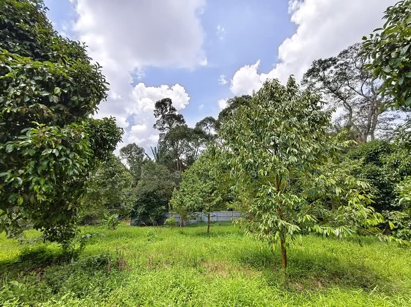 Tanah Pertanian untuk Dijual di Kulai (Johor) - K S Ong - Garden - PropertyGuru.com.my