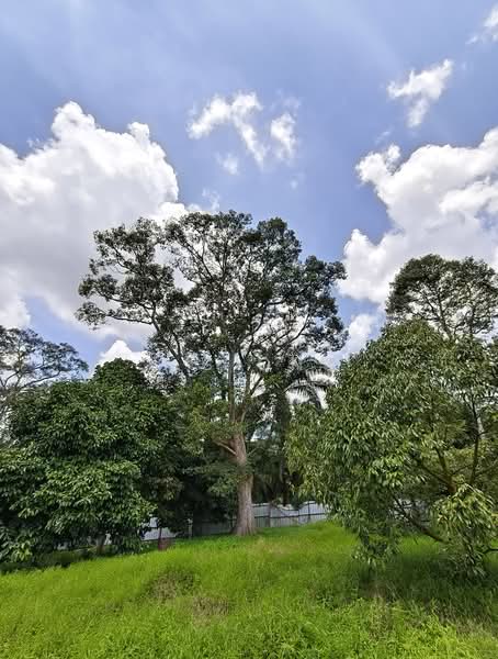 Tanah Pertanian untuk Dijual di Kulai (Johor) - K S Ong - Exterior - PropertyGuru.com.my