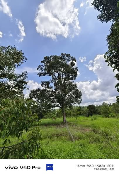 Tanah Pertanian untuk Dijual di Kulai (Johor) - K S Ong - Exterior - PropertyGuru.com.my