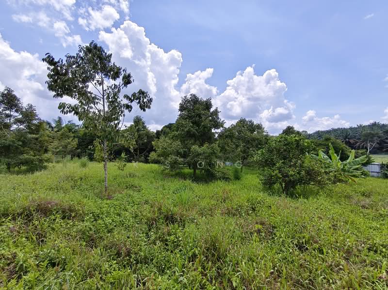 Tanah Pertanian untuk Dijual di Kulai (Johor) - K S Ong - Garden - PropertyGuru.com.my