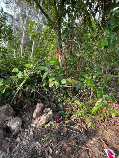 Tanah Kediaman untuk Dijual di Kampung Paya Dalam (Port Dickson) - Kamales Maheswaran - Exterior - PropertyGuru.com.my