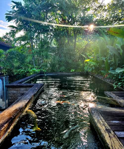 Bungalow for Sale in Bukit Gita Bayu (Seri Kembangan) - Alex Liew - PropertyGuru.com.my
