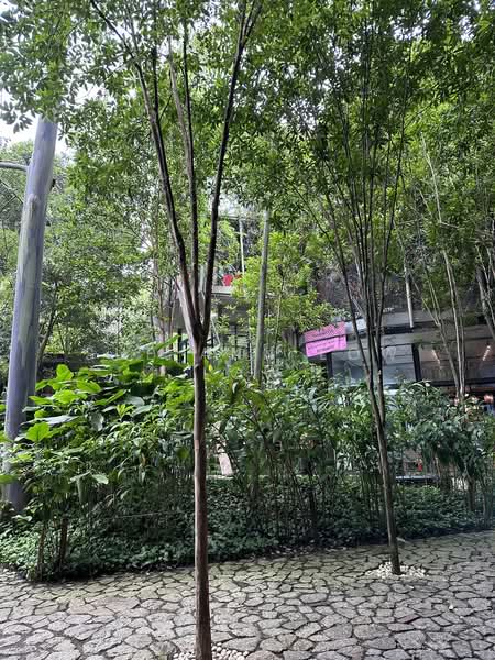 Shop for Rent in Cyberjaya (Selangor) - Sue Ann Low - PropertyGuru.com.my