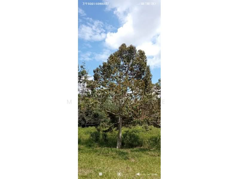 Tanah Pertanian untuk Dijual di Bukit Siput (Pogoh) - Melinda Ee - Exterior - PropertyGuru.com.my