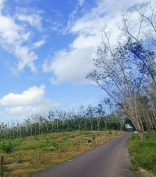 Tanah Pertanian untuk Dijual di Bukit Siput (Pogoh) - Melinda Ee - Exterior - PropertyGuru.com.my