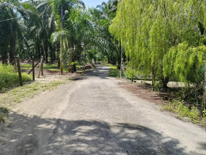 Tanah Pertanian untuk Dijual di Sitiawan (Perak) - Muniandy A/L Ayannan - Exterior - PropertyGuru.com.my