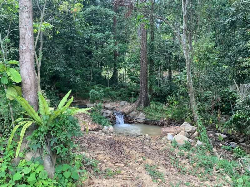 Tanah Pertanian untuk Dijual di Janda Baik (Bentong) - Valerie Arnesto - Exterior - PropertyGuru.com.my