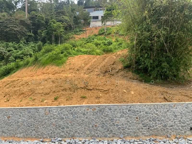 Tanah Pertanian untuk Dijual di Janda Baik (Bentong) - Valerie Arnesto - Exterior - PropertyGuru.com.my