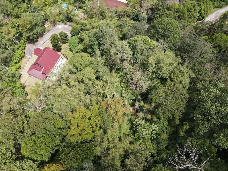 Agricultural Land for Sale in Janda Baik (Bentong) - Valerie Arnesto - Exterior - PropertyGuru.com.my