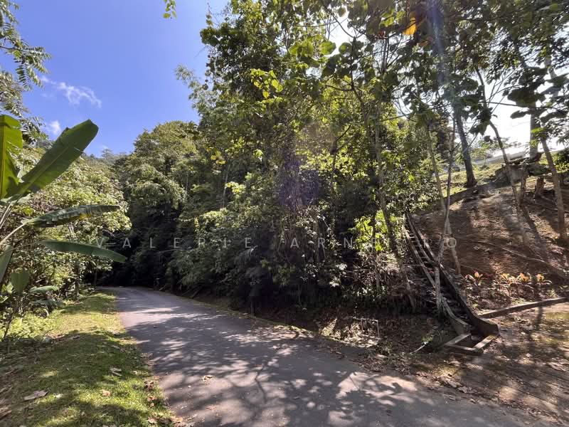 Agricultural Land for Sale in Janda Baik (Bentong) - Valerie Arnesto - From Road Entry - PropertyGuru.com.my