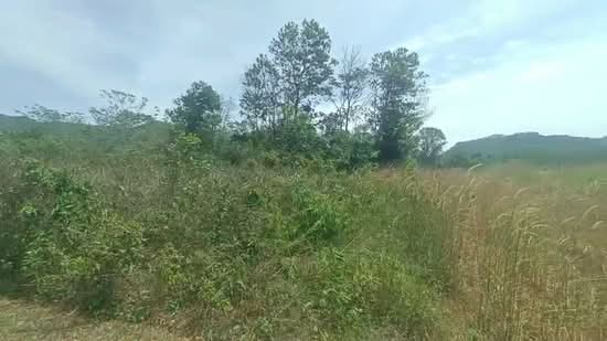 Tanah Banglo untuk Dijual di Taboh Naning (Melaka) - Leon Chu - PropertyGuru.com.my