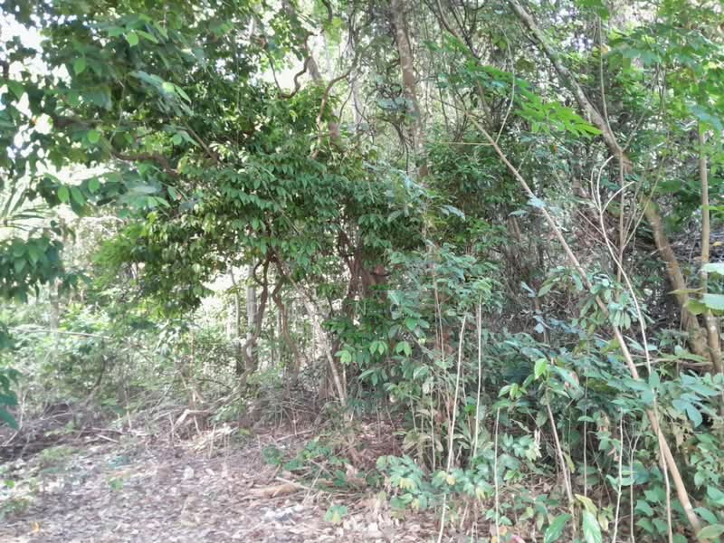 Agricultural Land for Rent in Taman Melati (Kajang) - Chong . - PropertyGuru.com.my