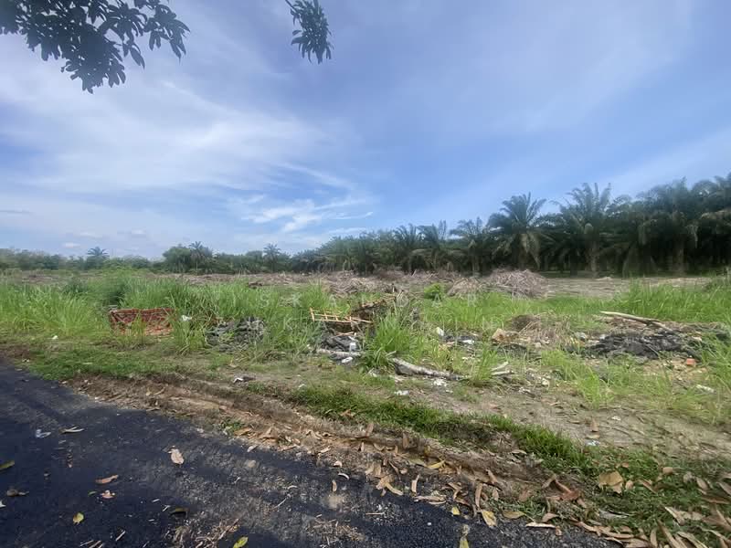 Agricultural Land for Sale in Simpang Rengam (Johor) - Iskandar Zukarnain - PropertyGuru.com.my