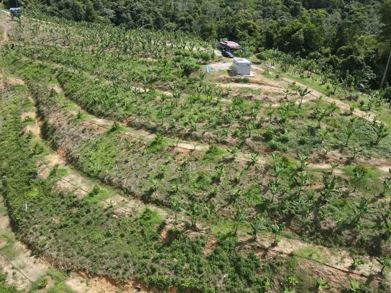 Agricultural Land for Sale in Seremban 2 (Negeri Sembilan) - Raymond Tan - Exterior - PropertyGuru.com.my