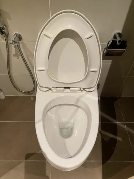 Kondominium untuk Dijual di Paraiso Residence @ The Earth - Alex Wong - Bathroom - PropertyGuru.com.my