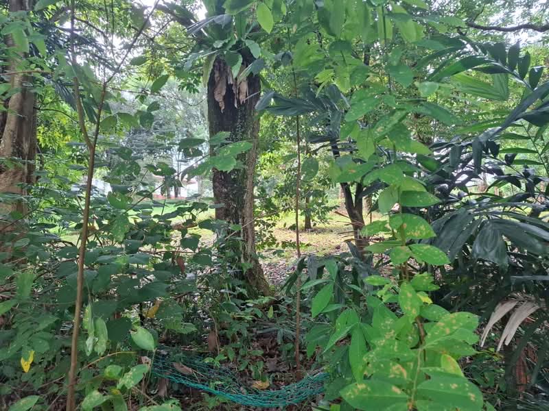 Bungalow Land for Sale in Country Heights (Kajang) - Lewis Tam - PropertyGuru.com.my