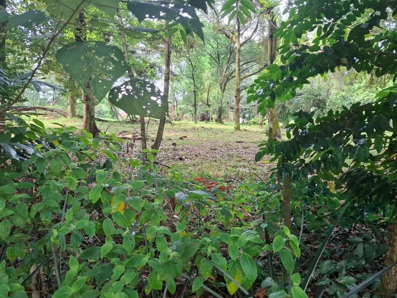 Bungalow Land for Sale in Country Heights (Kajang) - Lewis Tam - PropertyGuru.com.my