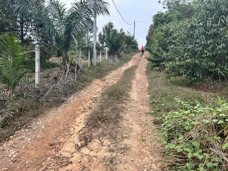 Agricultural Land for Sale in Simpang Gading (Durian Tunggal) - Simon Khoo - Exterior - PropertyGuru.com.my