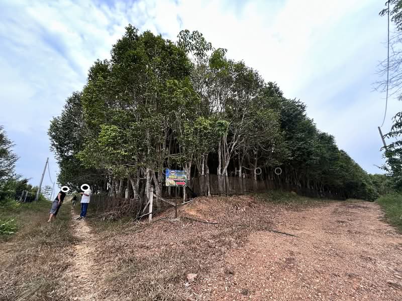 Agricultural Land for Sale in Simpang Gading (Durian Tunggal) - Simon Khoo - Exterior - PropertyGuru.com.my