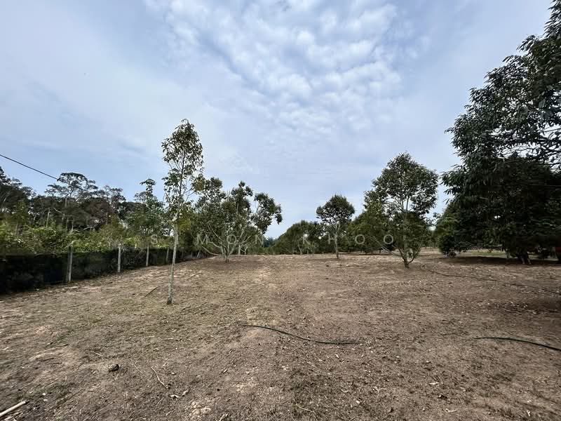 Agricultural Land for Sale in Simpang Gading (Durian Tunggal) - Simon Khoo - Exterior - PropertyGuru.com.my