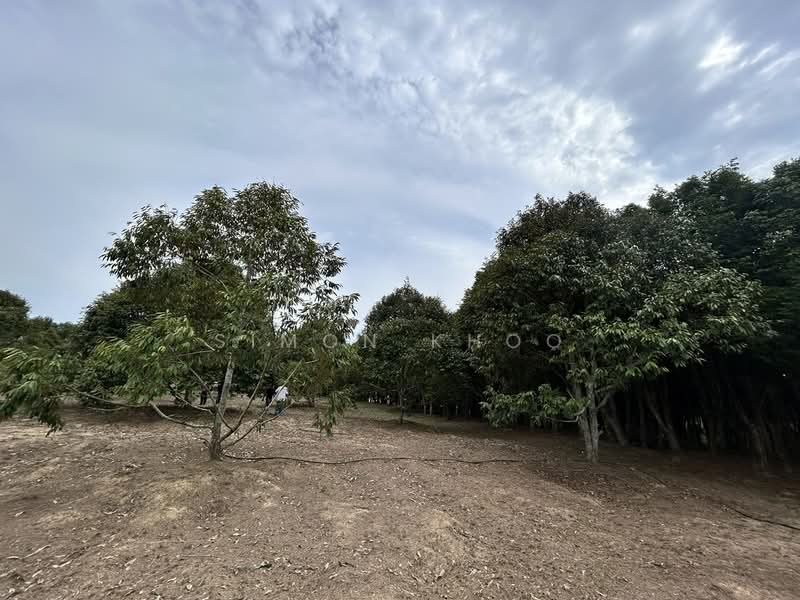 Agricultural Land for Sale in Simpang Gading (Durian Tunggal) - Simon Khoo - Exterior - PropertyGuru.com.my