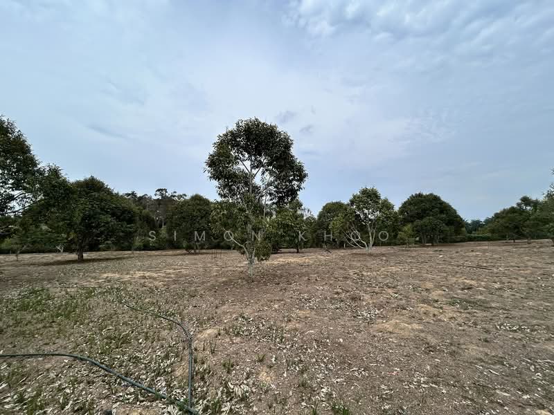 Agricultural Land for Sale in Simpang Gading (Durian Tunggal) - Simon Khoo - Exterior - PropertyGuru.com.my