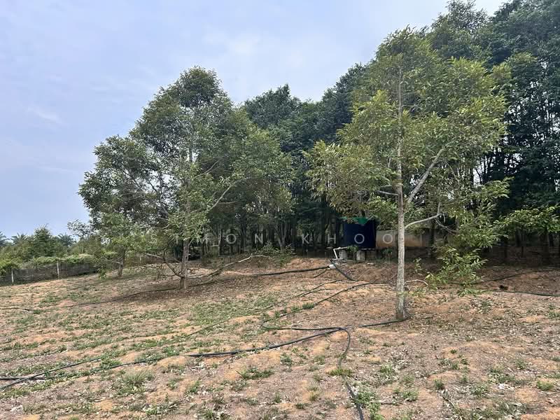 Agricultural Land for Sale in Simpang Gading (Durian Tunggal) - Simon Khoo - Exterior - PropertyGuru.com.my